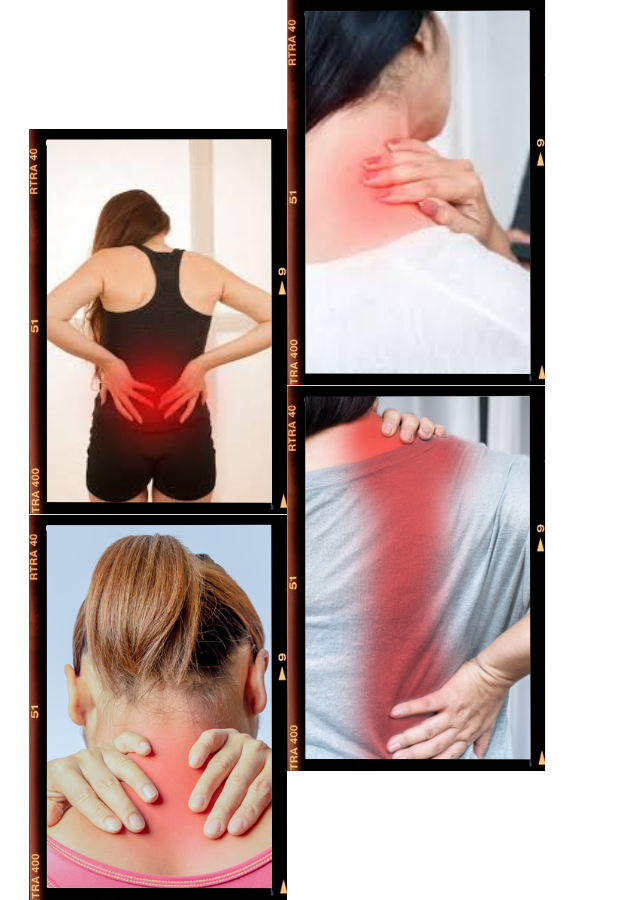 Pain Rehabilitation Services